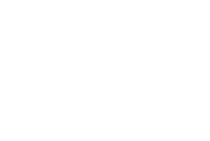 Logo Regina